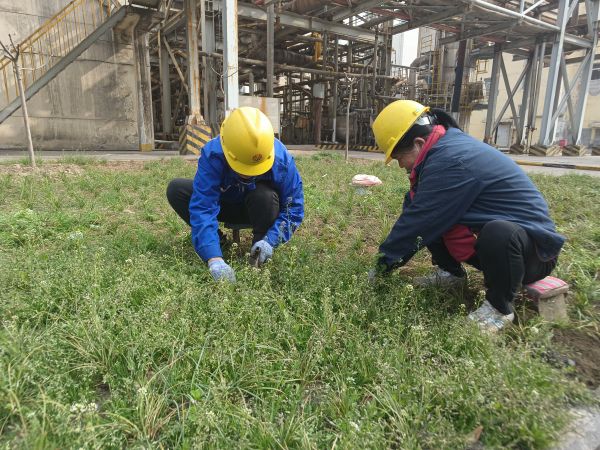 3月22日，行政保衛(wèi)部馬師傅和孫師傅在道路兩旁清除雜草。.jpg